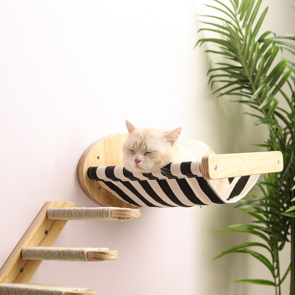 Sisal wall type cat scratcher - Mercazul
