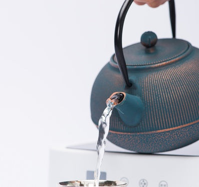 Cast iron teapot