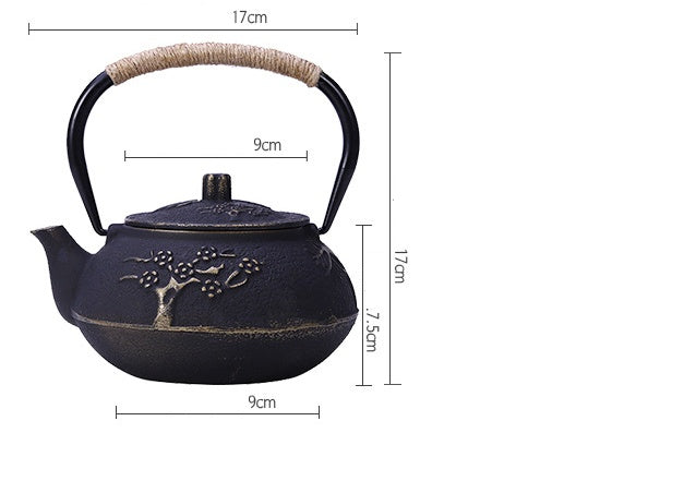 Japanese iron teapot