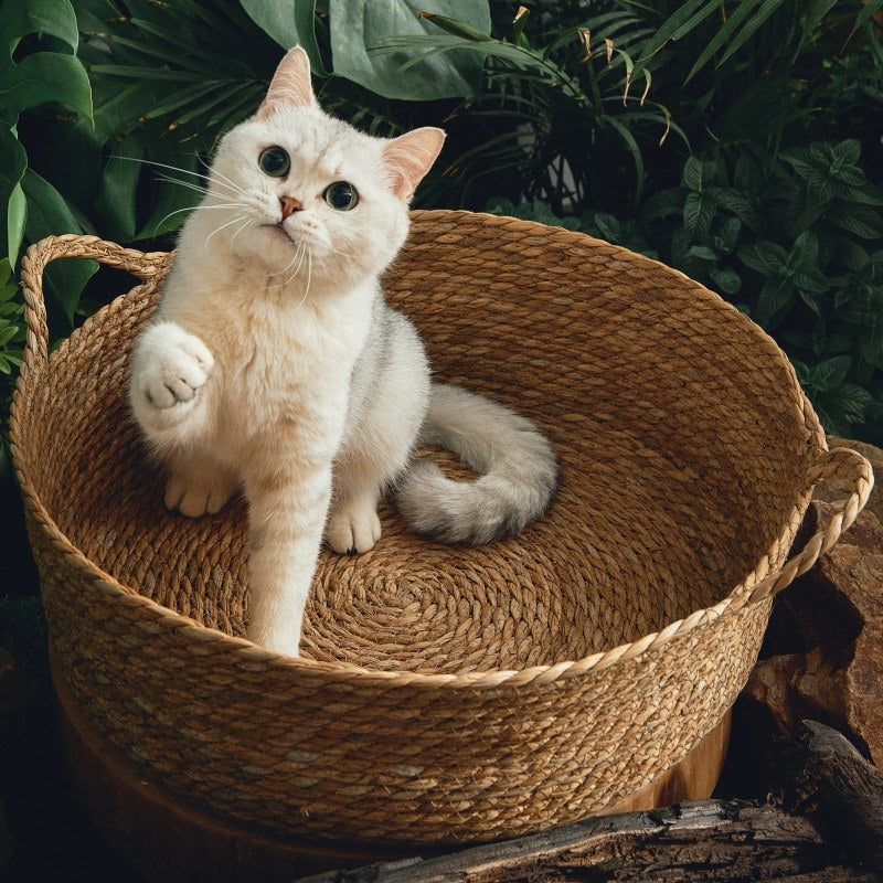 Handmad rattan fiber basket-nest for cats - Mercazul