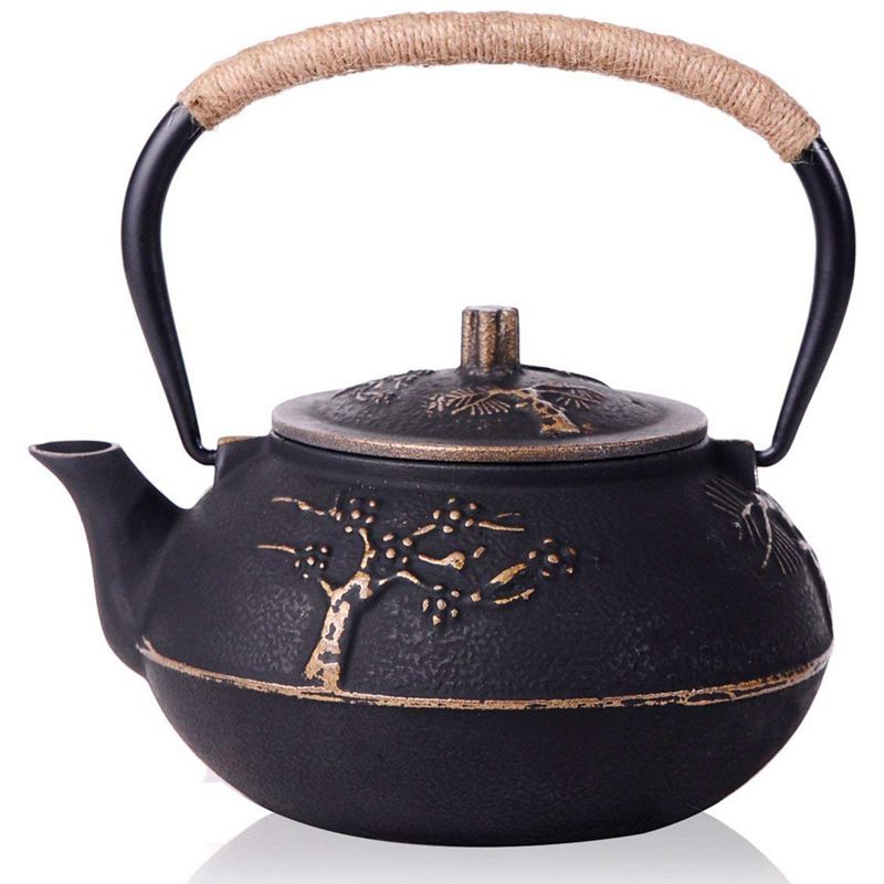 Japanese iron teapot