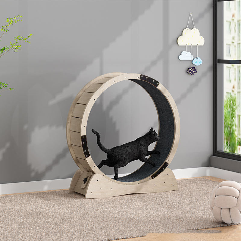Silent treadmill roller for cats - Mercazul