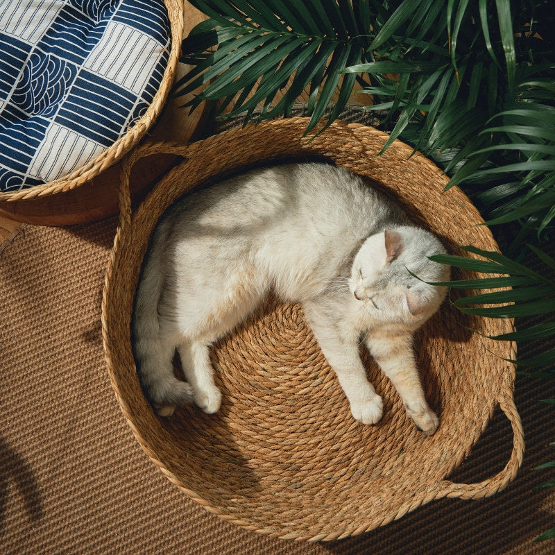 Handmad rattan fiber basket-nest for cats - Mercazul